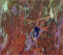 China's Wall Less Great in View from Space