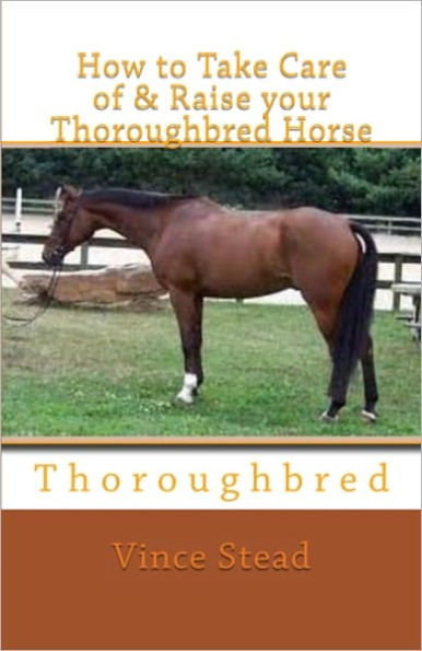 How to Take Care of & Raise your Thoroughbred Horse