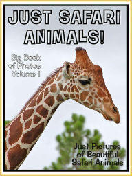 Title: Just Safari Photos! Big Book of Safari Photographs & Pictures: Lions, Zebras, Hippos, Tigers, Giraffes, and more! Vol. 1, Author: Big Book of Photos