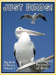 Title: Just Bird Photos! Big Book of Photographs & Pictures of Birds, Vol. 1, Author: Big Book of Photos