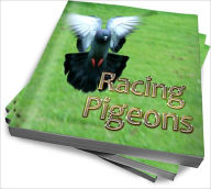 Title: Essentials In Training Racing Pigeons - A Beginner's Guide, Author: Michael R. Evans