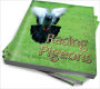 Essentials In Training Racing Pigeons - A Beginner's Guide