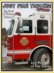 Title: Just Firetruck Photos! Big Book of Photographs & Pictures of Emergency Vehicle Fire Trucks, Vol. 1, Author: Big Book of Photos