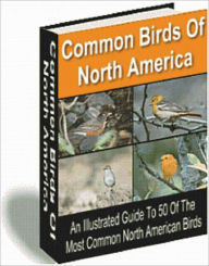 Title: Common Birds of North America, Author: 99 ¢ store