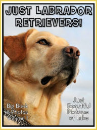 Title: Just Labrador Retriever Photos! Big Book of Lab Dog Photographs & Pictures Vol. 1, Author: Big Book of Photos