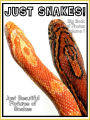 Just Snake Photos! Big Book of Snake Photographs & Pictures Vol. 1