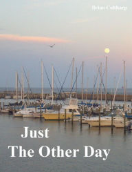 Title: Just The Other Day, Author: Brian Coltharp