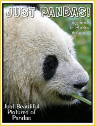 Title: Just Panda Photos! Big Book of Panda Photographs & Pictures Vol. 1, Author: Big Book of Photos