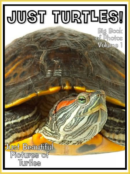 Just Turtle Photos! Big Book of Photographs & Pictures of Turtles, Vol ...