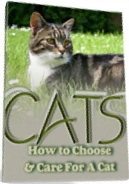 eBook about CATS - How To Choose And Care For A Cat - If you are looking for a specific cat breed..