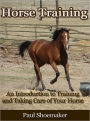 Horse Training - An Introduction to Training and Taking Care of Your Horse