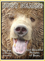 Title: Just Bear Photos! Big Book of Photographs & Pictures of Brown, Grizzly, Polar, and Black Bears, Vol. 1, Author: Big Book of Photos