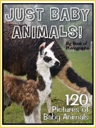 Title: 120 Pictures: Just Baby Animals!, Author: Big Book of Photos