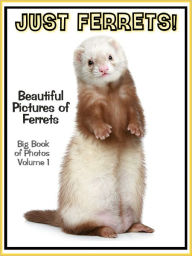 Title: Just Ferret Photos! Big Book of Ferret Photographs & Adorable Pictures, Vol. 1, Author: Big Book of Photos