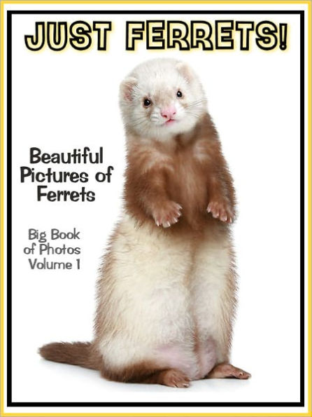 Just Ferret Photos! Big Book of Ferret Photographs & Adorable Pictures, Vol. 1