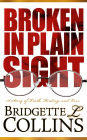 Broken In Plain Sight: A Story of Truth, Healing, and Love