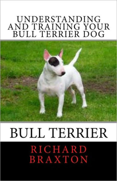 Understanding and Training your Bull Terrier Dog