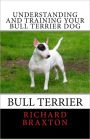 Understanding and Training your Bull Terrier Dog