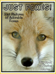 Title: Just Fox Photos! Big Book of Fox Photographs & Pictures, Vol. 1, Author: Big Book of Photos