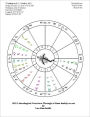 2012 Stones and Stars-A Look forward with Astrology and Runes