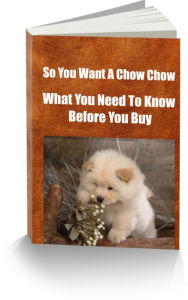 Title: So You Want A Chow Chow-What You Need To Know Before You Buy, Author: James Conrad