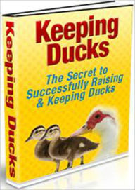 Title: Keeping Ducks: The Secret to Successfully Raising & Keeping Ducks, Author: laiftllc.com