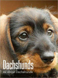 Title: Dachshunds: All About Dachshunds, Author: David Lind