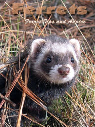 Title: Ferrets: Tips and Advice, Author: Lori Edmundson