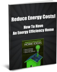 Title: Reduce Energy Costs! How To Have an Energy Efficiency Home, Author: David Hall