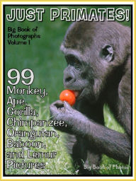 Title: 99 Pictures: Just Primate Photos! Big Book of Monkey, Ape, Gorilla, Chimpanzee, Orangutan, Baboon, and Lemur Photographs, Vol. 1, Author: Big Book of Photos