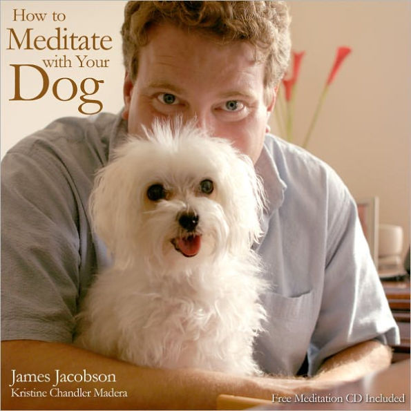 How to Meditate with Your Dog: An Introduction to Meditation for Dog Lovers