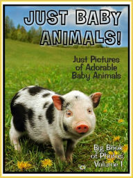 Title: Just Baby Animal Photos! Big Book of Baby Animal Photographs & Pictures, Vol. 1, Author: Big Book of Photos