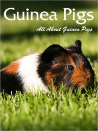 Title: Guinea Pigs: All About Guinea Pigs, Author: Jane Lenzer