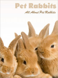 Title: Rabbits: All About Rabbits, Author: Margy Davis