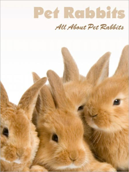 Rabbits: All About Rabbits