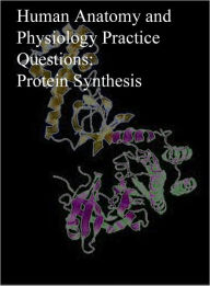 Title: Human Anatomy and Physiology Practice Questions: Protein Synthesis, Author: Dr. Evelyn J. Biluk