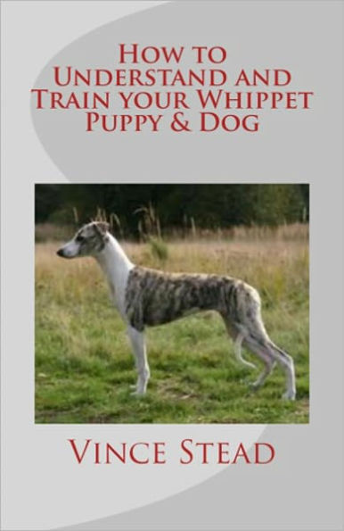 How to Understand and Train your Whippet Puppy & Dog