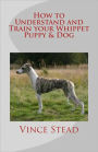 How to Understand and Train your Whippet Puppy & Dog