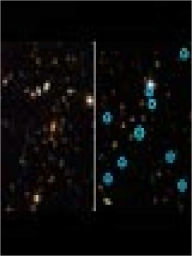 Title: Images from Hubble's ACS Tell a Tale of Two Record-Breaking Galaxy Clusters, Author: JD P