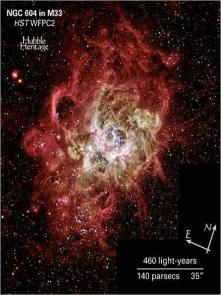 Firestorm of Star Birth Seen in a Local Galaxy