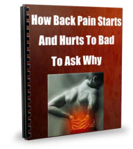 Title: How Back Pain Starts-And Hurts And You Are Afraid To Ask Why, Author: Sandy Hall