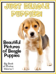 Title: Just Beagle Puppy Photos! Big Book of Beagle Puppies Photographs & Adorable Pictures, Vol. 1, Author: Big Book of Photos