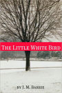 The Little White Bird (Annotated)