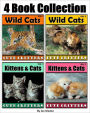 Kittens, Cats, Lions, Tigers and More! (4 Book Collection of Photos of Adorable Wild Cats and Cute Kittens)