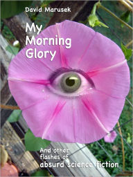 Title: My Morning Glory and other flashes of absurd science fiction, Author: David Marusek