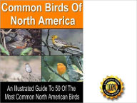 Title: 50 Common Birds Of North America- All Illustrated Guide To 50 Of The Most Common North American Birds! AAA+++, Author: Peter Smith