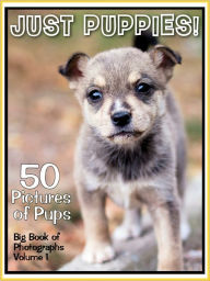 Title: 50 Pictures: Just Puppies! Big Book of Puppy Dog Photographs, Vol. 1, Author: Big Book of Photos