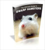 Raising A Healthy Dwarf Hamster: The Definitive Guide