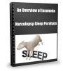 An Overview of Insomnia-Narcolepsy-Sleep Paralysis