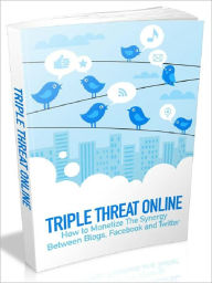 Title: Triple Threat - How to monetize the synergy between Blogs, Facebook and Twitter, Author: Joye Bridal